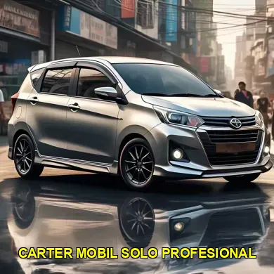 carter mobil solo profesional
